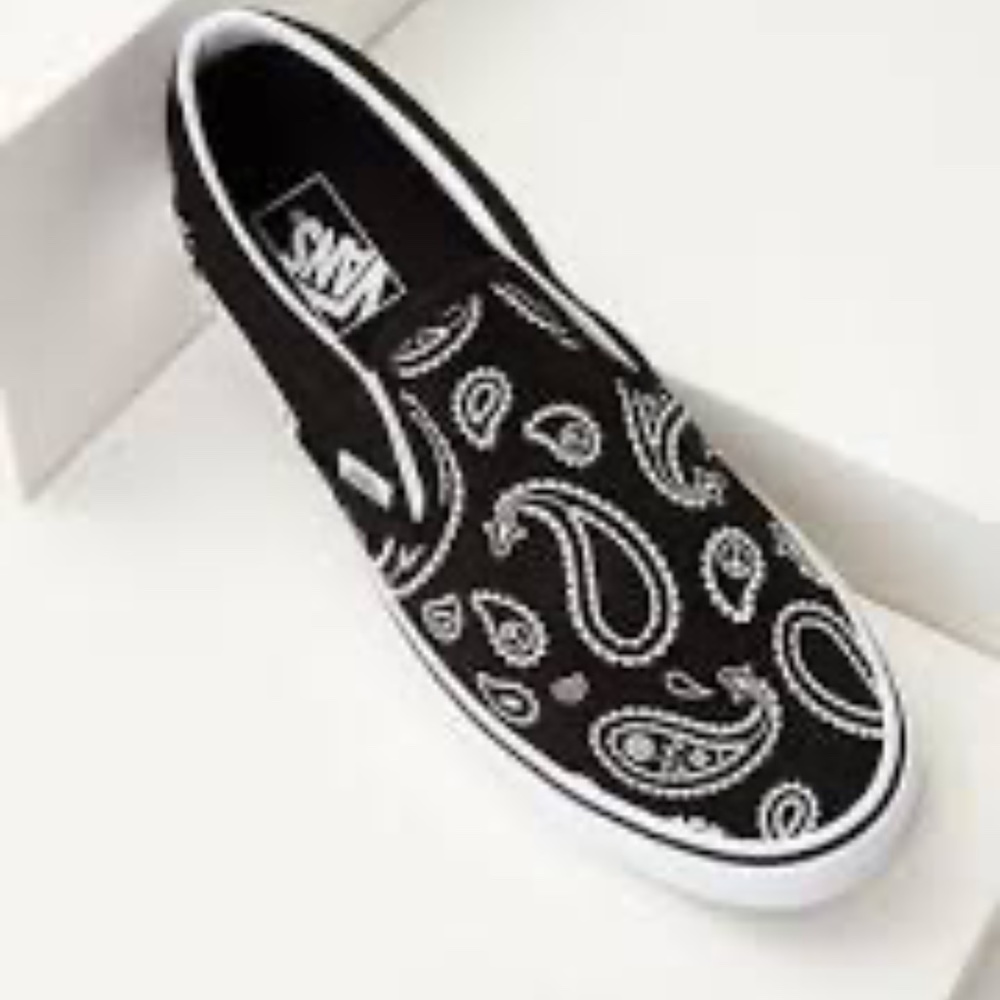 VANS Classic Slip-On Skate Shoe